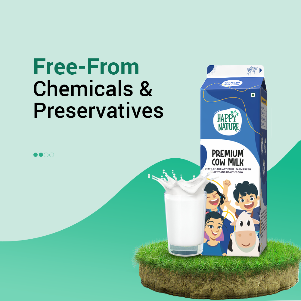 Premium Cow Milk
