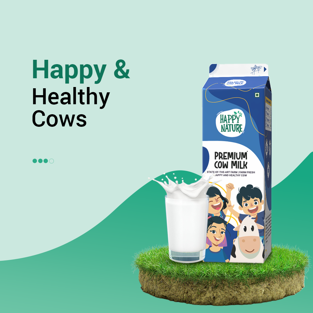 Premium Cow Milk