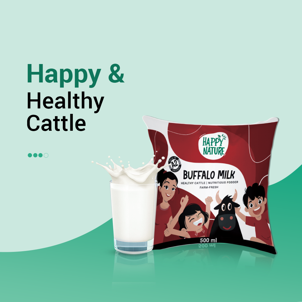 Fresh A2 Buffalo Milk