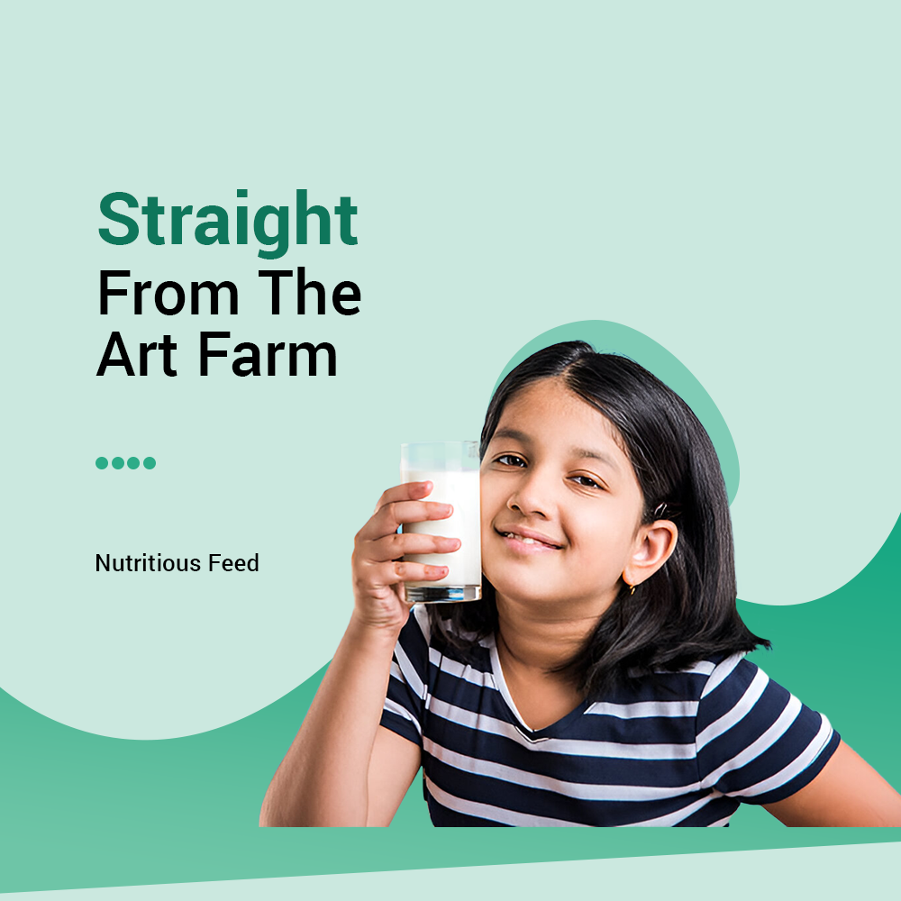A2 Desi Cow Milk (Certified)